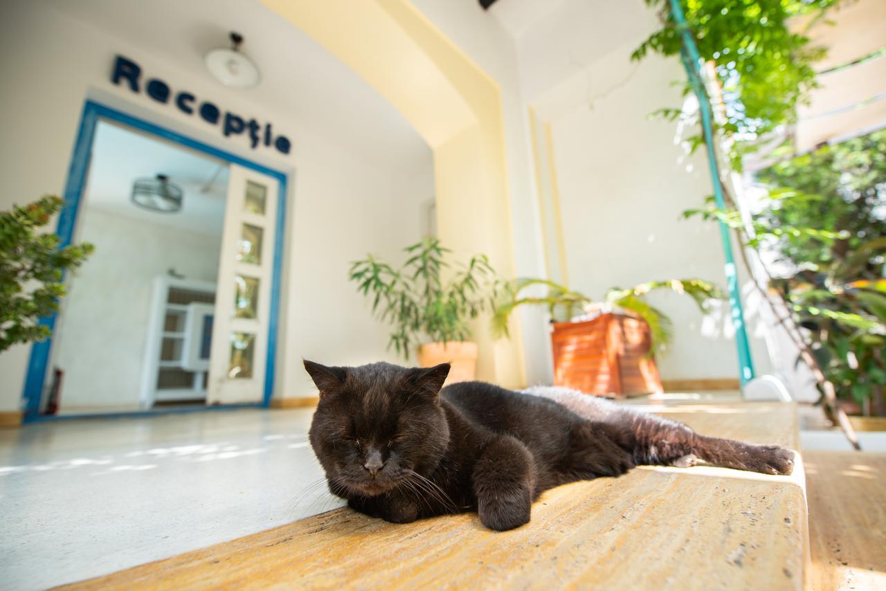 Villa Pontica Năvodari 외부 사진